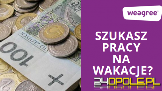 Oferty pracy na wakacje!