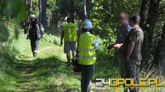 27-letni mężczyzna zginął podczas wycinki drzew w Antoniowie