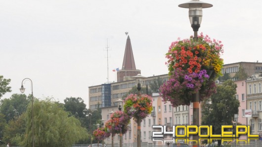Wesprzyj Opole w konkursie na najpiękniej ukwiecone miasto w Polsce