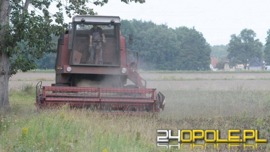 Tegoroczne lato nie oszczędza rolników