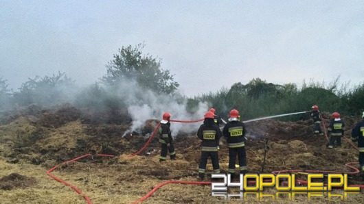 Pożar słomy w fabryce pelletu w Opolu