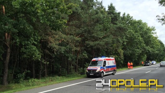 Rowerzysta zginął w wypadku na trasie Opole - Strzelce Opolskie