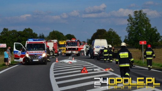 Śmiertelne potrącenie pieszego na drodze krajowej nr 46 za Grabinem