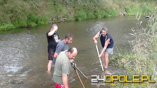 Zabytkowa łódź odnaleziona, a później skradziona