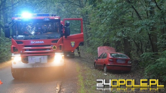 Renault dachowało w Wawelnie