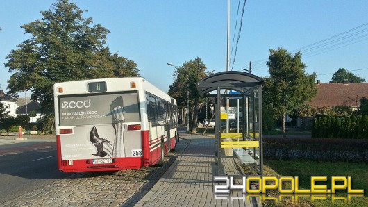 W Opolu stanęły kolejne wiaty przystankowe