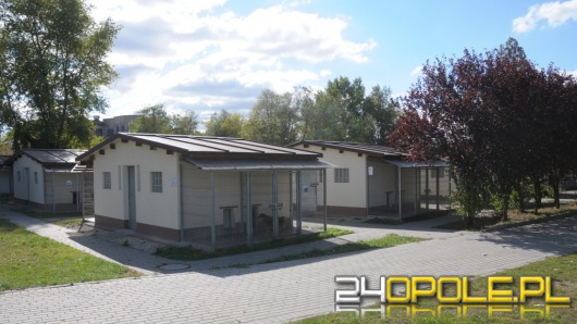 Opolskie schronisko dla zwierząt zostanie wyremontowane. Co z jego rozbudową?