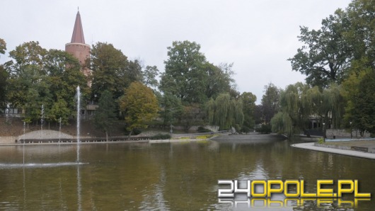 Świąteczne lodowisko na Stawku Barlickiego? Weź udział w sondzie.