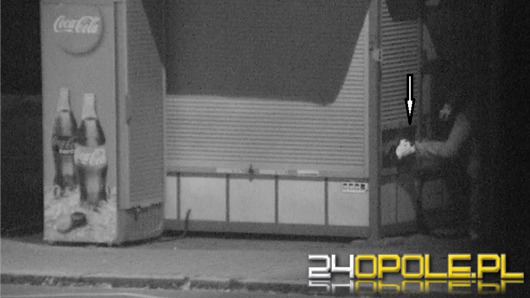 Monitoring pomógł w ujęciu włamywaczy