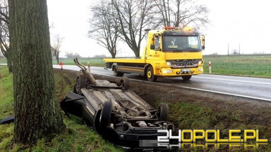 Audi dachowało na drodze krajowej nr 11