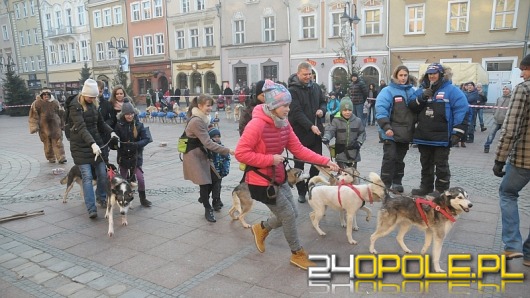 Opolski rynek zmienił się w biegun północny 