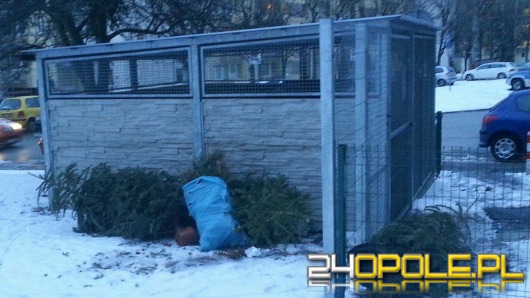 Gdzie wyrzucić choinkę?