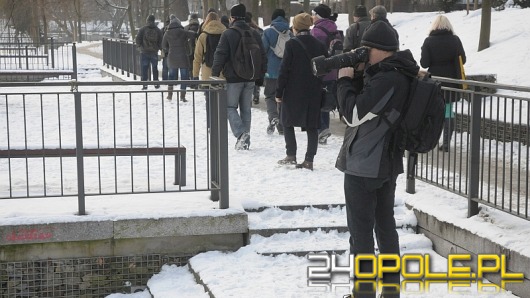 Opolanie liczyli ptaki na Wyspie Bolko