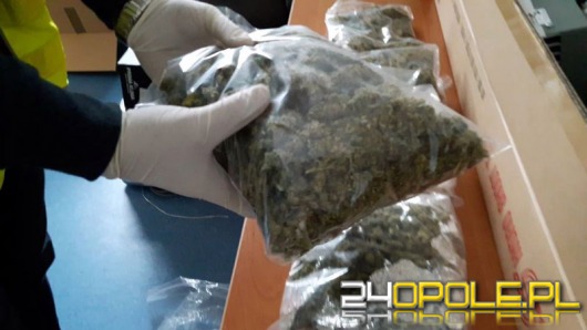 Kryminalni znaleźli 0,5 kg narkotyków u nastolatków