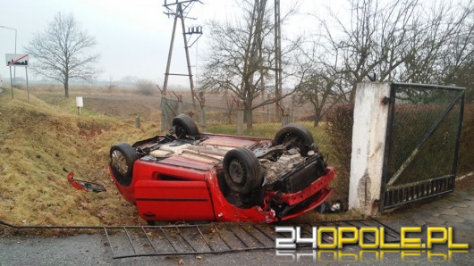 Ford dachował w Lewinie Brzeskim