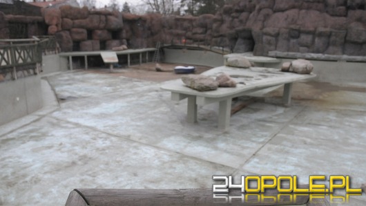 Opolskie zoo przygotowuje się do wiosny