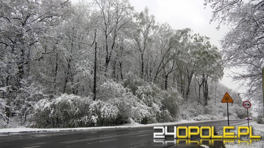 Na Opolszczyznę wróciła zima