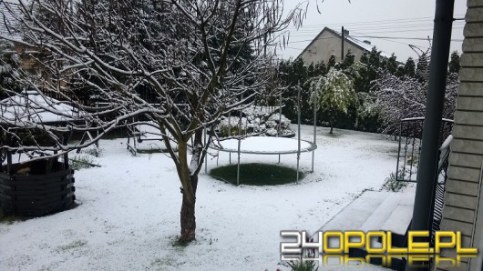 Zima na zdjęciach naszych Czytelników