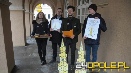 Młodzi Konserwatyści apelują o postawienie w Opolu miejskich uli