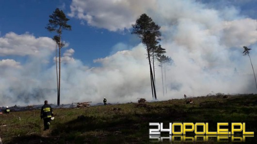 Strażacy walczą z pożarem lasu pod Szumiradem
