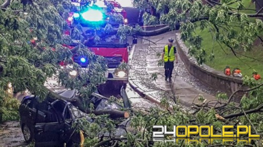 Drzewo spadło na samochód w Brzegu. Dwie osoby ranne