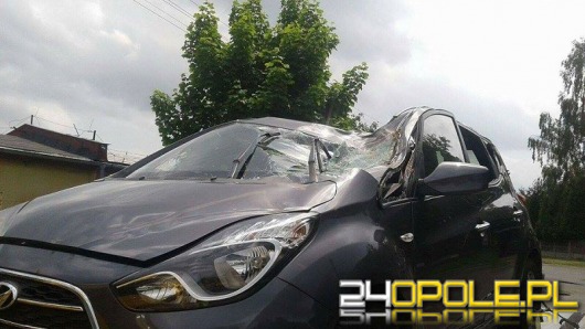 Na samochód spadło drzewo. Ranny kierowca