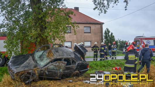 Pijany kierowca wylądował na drzewie. Cztery osoby w szpitalu