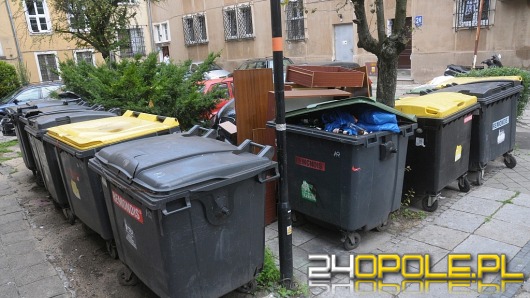 Szczury i smród z odpadów na ul. Franciszkańskiej w Opolu przeszkadzają mieszkańcom