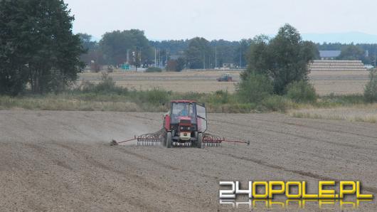 Żniwa dla opolskich rolników "dobre, ale nie rekordowe"