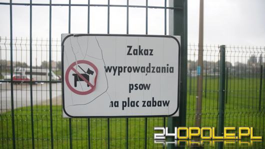 Zakaz wstępu z psem. Zgodny, czy niezgodny z prawem?