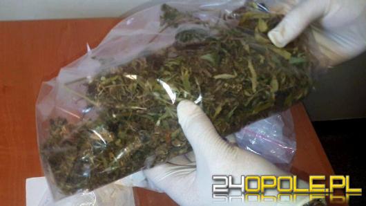 Ponad 300 gramów narkotyków w mieszkaniu, specjalistyczne boksy do uprawy w piwnicy