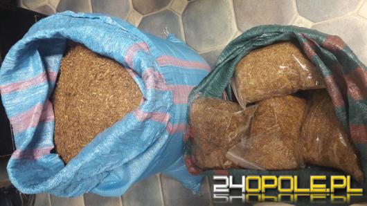 Tytoń bez akcyzy w mieszkaniu 59-latki