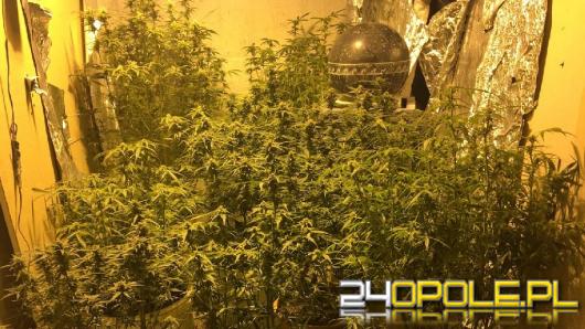 22-latek odpowie za posiadanie narkotyków