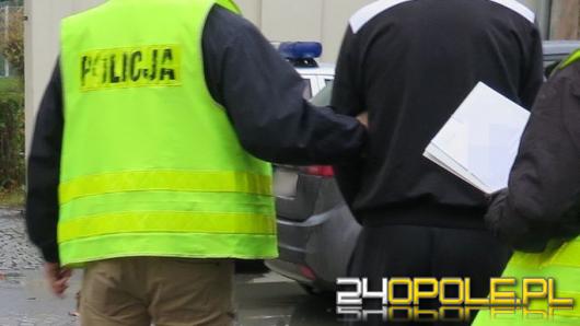  Zatrzymani za kradzież i paserstwo
