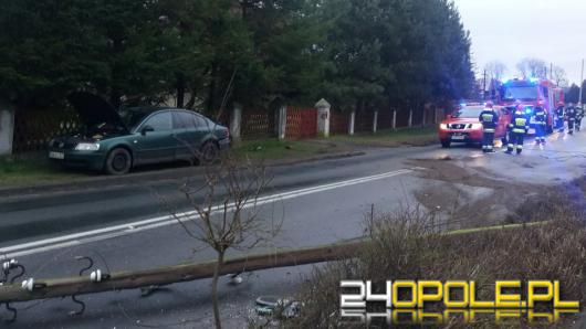 Biestrzykowice: 20-latek wypadł z drogi i złamał słup energetyczny