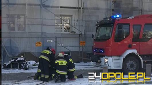 Czujność wolontariuszki TOZ uratowała przymarzniętego kota