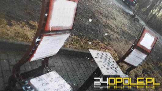 Zatrzymany za wandalizm