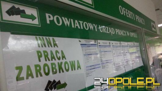 Blisko 25 milionów złotych na zmniejszenie bezrobocia w województwie opolskim
