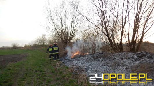 Strażacy średnio co pół godziny wyjeżdżają do pożaru traw