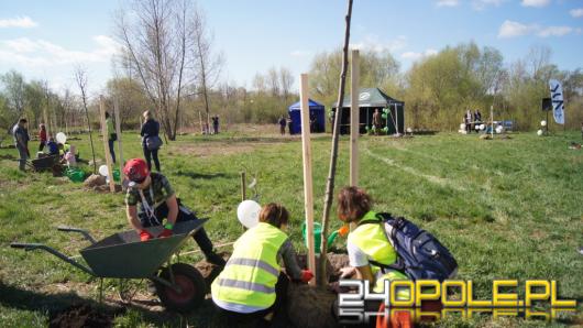 Opolanie wspólnie sadzą drzewa przy kąpielisku Bolko