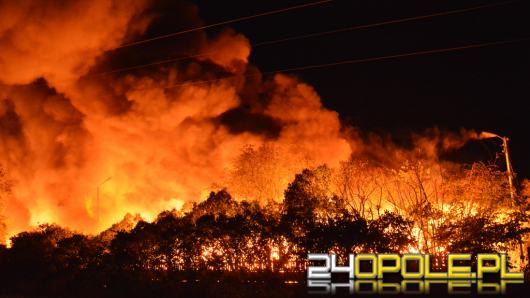 Pożar w Dąbrowie Niemodlińskiej, zatrzymano 2 osoby podejrzewane o podpalenie wysypiska
