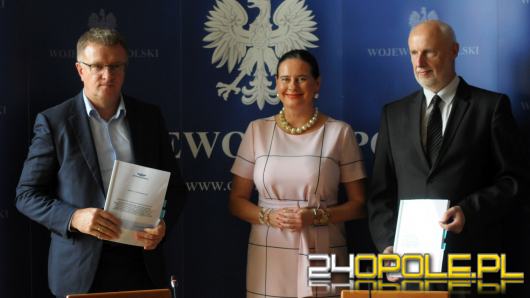 Przystanek Opole Wschodnie zyska lepszy komfort. PKP przebuduje wiadukt nad Oleską