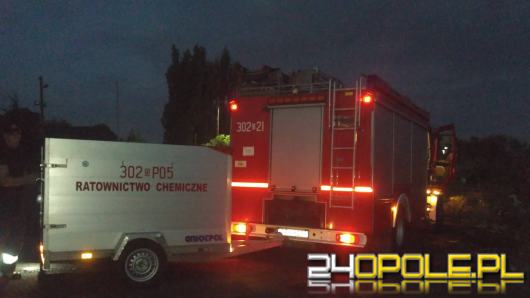 Strażacy walczyli z wyciekiem substancji do Odry