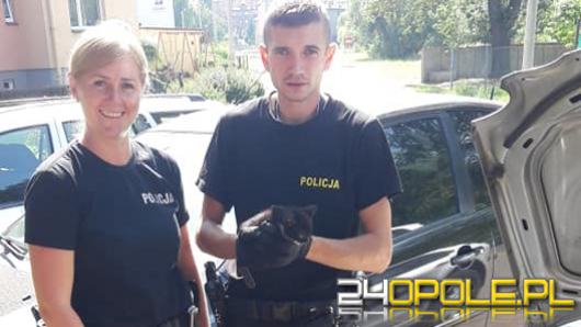 Mały kot utknął w komorze silnika. Szybka reakcja policjantów uratowała mu życie