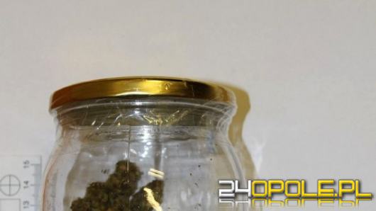 60-latka miała w mieszkaniu narkotyki i krzak konopi indyjskiej