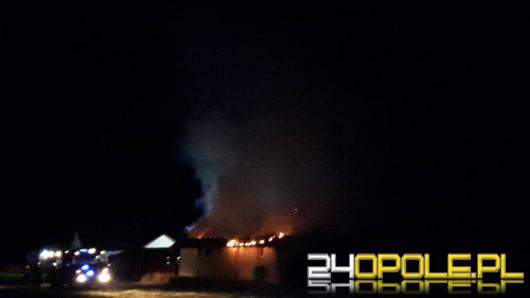 Pożar budynku gospodarczego w Grodźcu. W akcji 9 jednostek straży