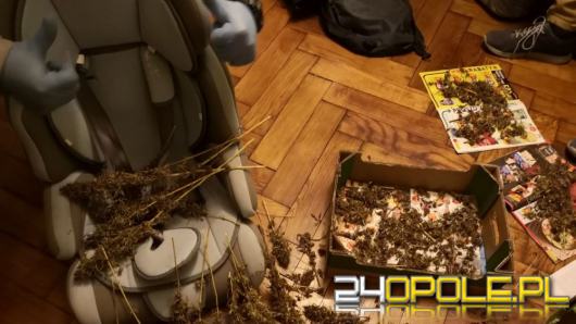 W bagażniku volkswagena znaleźli blisko 300 gramów marihuany