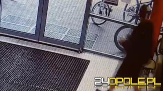 Przywłaszczył i ukradł