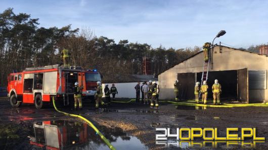 9 zastępów straży walczyło z pożarem kurnika w Chrząstowicach