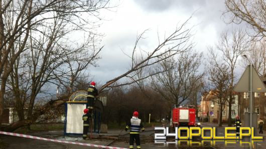 Meteorolodzy ostrzegają przed silnym wiatrem i możliwymi burzami